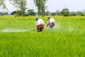  Paraquat Weed Killer 